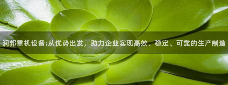 顺盈娱乐最高代理人：润邦重机设备:从优势出发，助力企业实现高