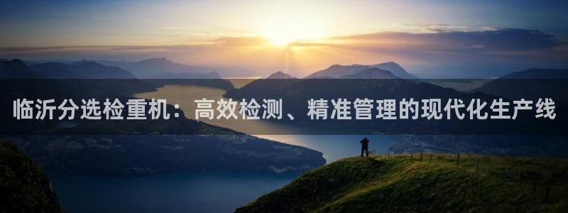 盈顺娱乐休闲室：临沂分选检重机：高效检测、精准管理的现代化生