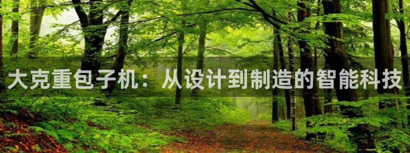 顺盈娱乐那家公司旗下：大克重包子机：从设计到制造的智能科技