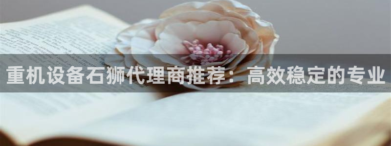 顺盈娱乐最高代理是谁啊：重机设备石狮代理商推荐：高效稳定的专