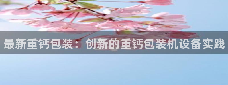 顺盈娱乐彩票官网下载：最新重钙包装：创新的重钙包装机设备实践