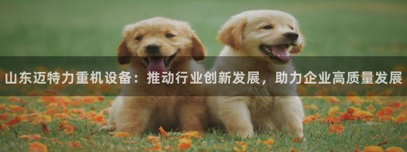 顺盈娱乐28是什么意思：山东迈特力重机设备：推动行业创新发展