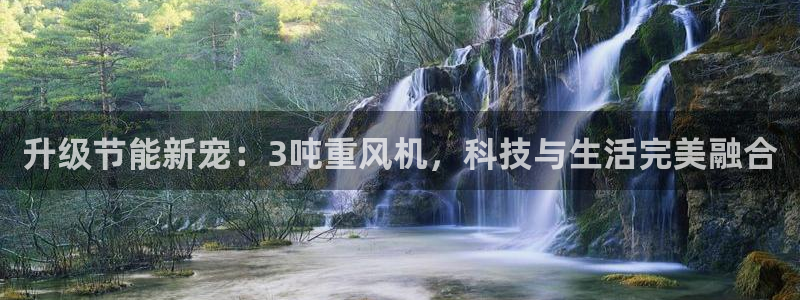 顺盈娱乐招商前原判官333OO
