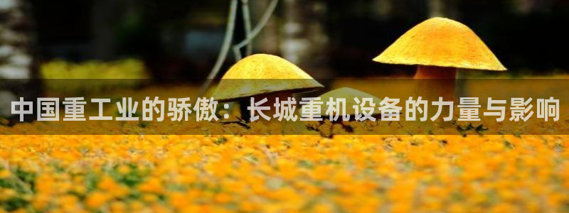 顺盈娱乐在线开户怎么样