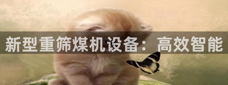 顺盈平台娱乐怎么样:新型重筛煤机设备:高效智能