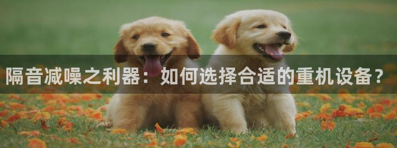 顺盈娱乐彩票怎么样