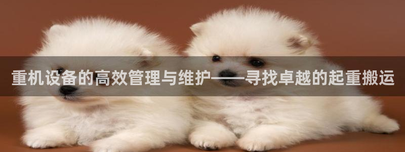 顺盈娱乐招商片判官333OO:重机设备的高效管理与维护——寻