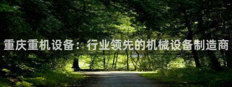 顺盈娱乐 炤企鹅779O3:重庆重机设备:行业领先的机械设备