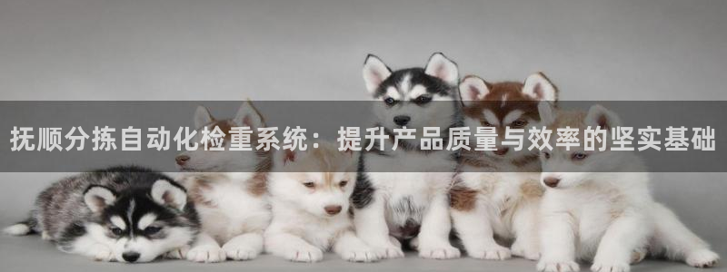 顺盈娱乐主管怎么样知乎:抚顺分拣自动化检重系统:提升产品质量