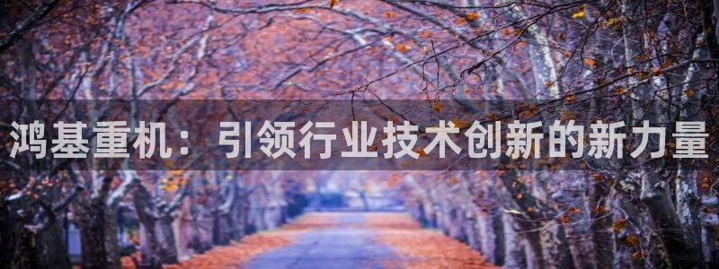 顺盈娱乐注册官网:鸿基重机:引领行业技术创新的新力量