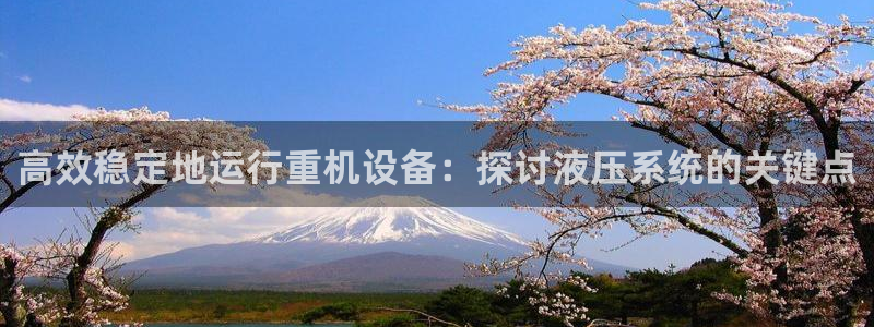 顺盈娱乐滴qv382223