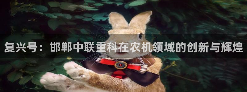 顺盈2娱乐主管是谁:复兴号:邯郸中联重科在农机领域的创新与辉