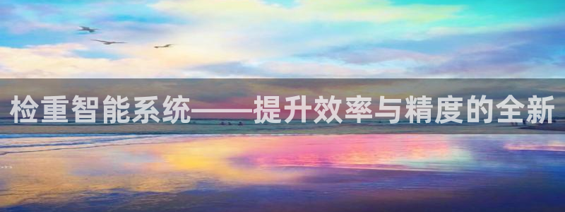 顺盈娱乐主管：检重智能系统——提升效率与精度的全新