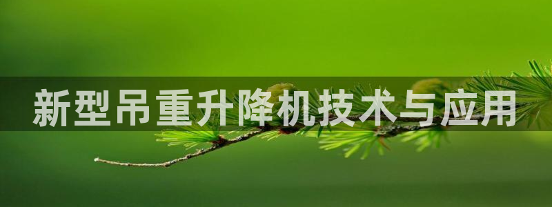 顺盈娱乐注册q779O3唐老鸭：新型吊重升降机技术与应用