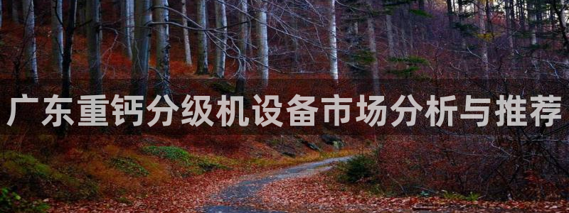清远顺盈娱乐集团电话：广东重钙分级机设备市场分析与推荐