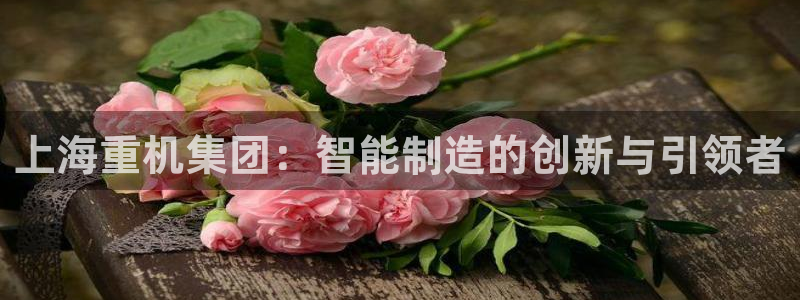 顺盈娱乐代理怎么样：上海重机集团：智能制造的创新与引领者