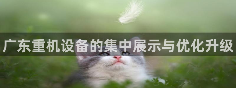 顺盈娱乐棋牌怎么样：广东重机设备的集中展示与优化升级