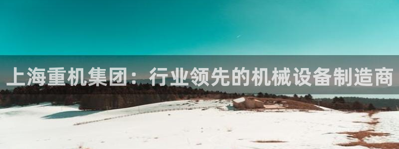 顺盈娱乐棋牌：上海重机集团：行业领先的机械设备制造商