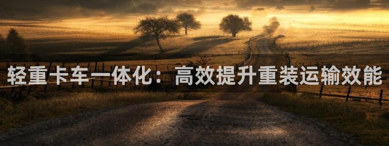 清远顺盈娱乐怎么样：轻重卡车一体化：高效提升重装运输效能