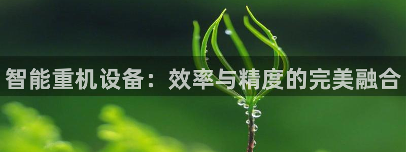 清远顺盈娱乐公司招聘吗：智能重机设备：效率与精度的完美融合