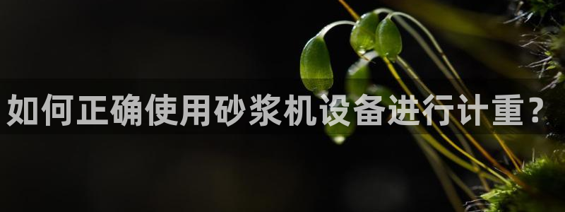 顺盈娱乐计究7276O：如何正确使用砂浆机设备进行计重？