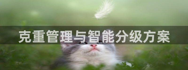 顺盈娱乐福彩：克重管理与智能分级方案