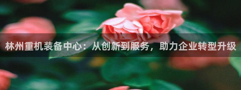 顺盈娱乐是什么福彩：林州重机装备中心：从创新到服务，助力企业