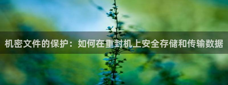 顺盈娱乐：机密文件的保护：如何在重封机上安全存储和传输数据