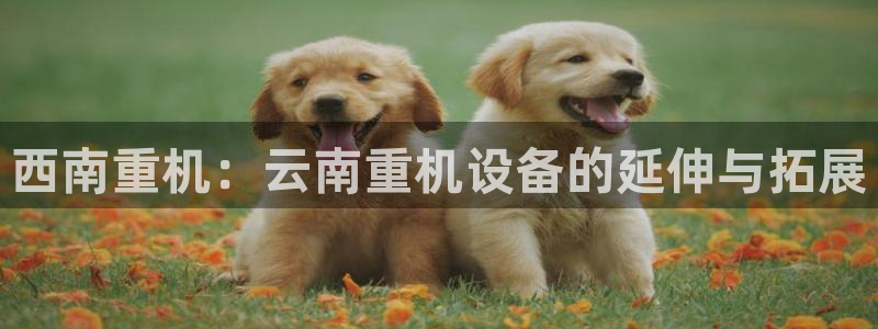 顺盈娱乐铜333OO