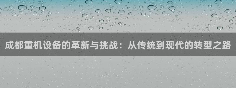 顺盈娱乐总代：成都重机设备的革新与挑战：从传统到现代的转型之