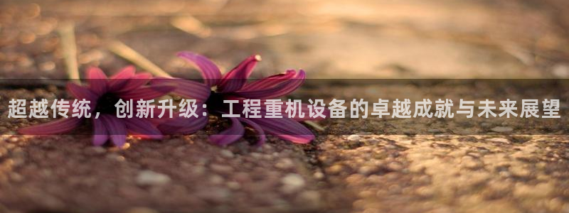 顺盈童欢娱乐有限公司：超越传统，创新升级：工程重机设备的卓越