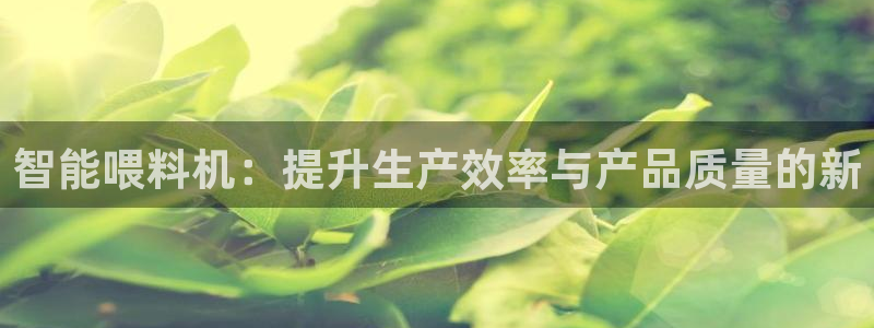 顺盈娱乐最高代理人名单：智能喂料机：提升生产效率与产品质量的