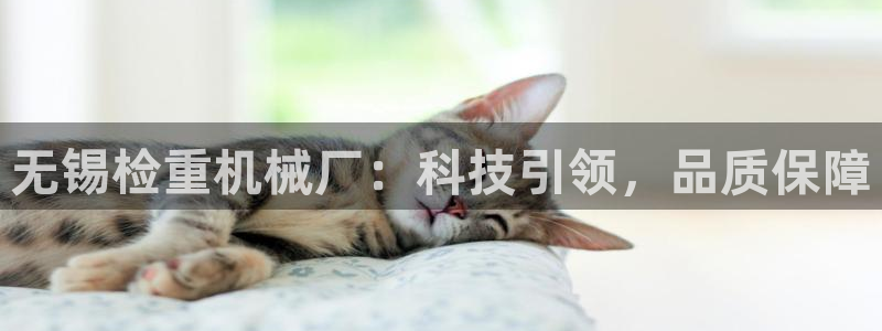 顺盈娱乐最高代理：无锡检重机械厂：科技引领，品质保障