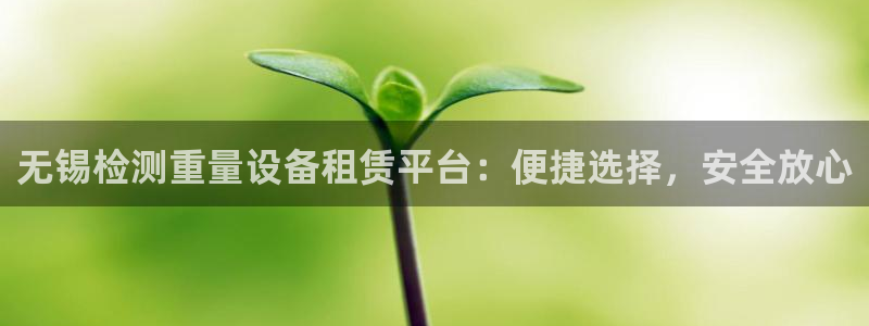 清远顺盈游戏娱乐：无锡检测重量设备租赁平台：便捷选择，安全放