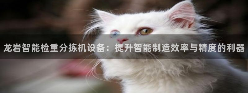清远顺盈娱乐公司：龙岩智能检重分拣机设备：提升智能制造效率与