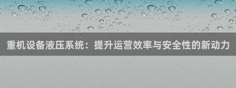 顺盈娱乐官网：重机设备液压系统：提升运营效率与安全性的新动力