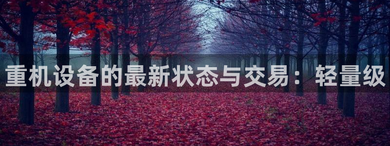 盈顺休闲娱乐室怎么样：重机设备的最新状态与交易：轻量级