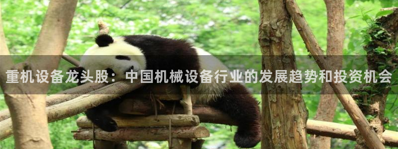 顺盈娱乐总代：重机设备龙头股：中国机械设备行业的发展趋势和投
